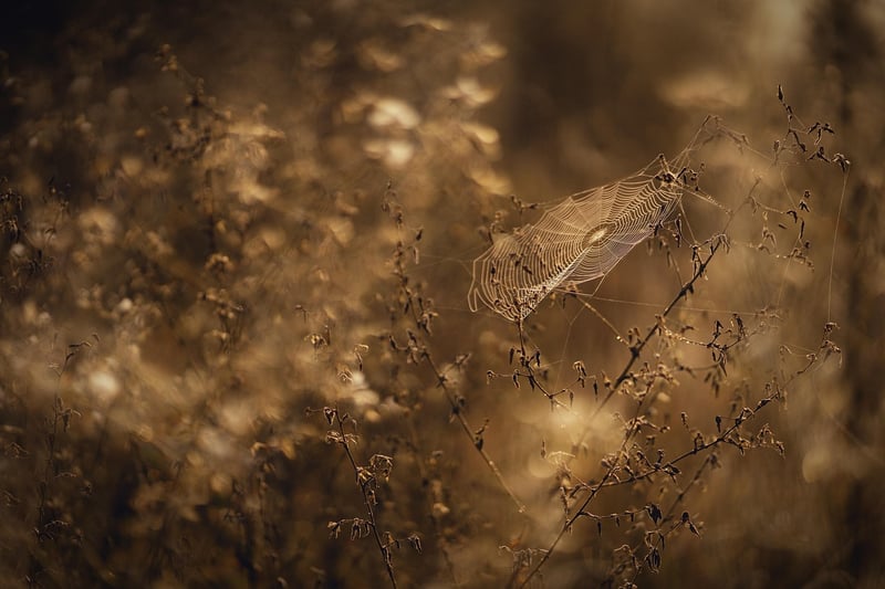 Subtle Communication